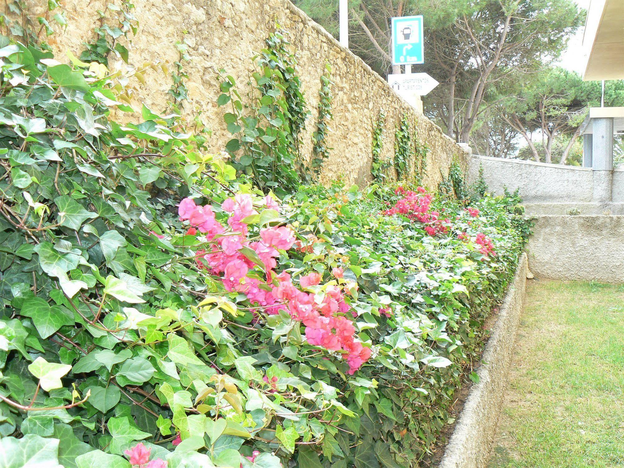 Apartamentos Turisticos Canos De Meca Los Canos De Meca Extérieur photo